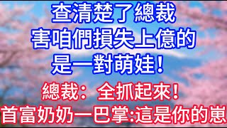 【情感故事】查清楚了總裁，害咱們損失上億的，是一對萌娃！總裁：全抓起來！首富奶奶一巴掌：這是你的崽！#故事 #人生哲理