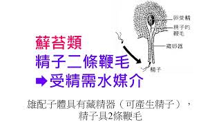 高中生物110世代交替