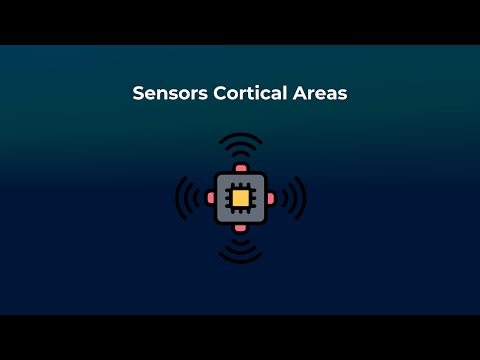Sensor Cortical Areas - Neurorobotics Studio Tutorial