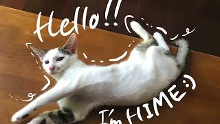 ヒメチャネルHIMECHAN PLAYING WITH LITTLE MOM .