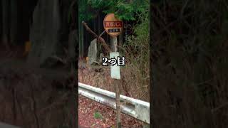 Don't ever get off! Three dangerous bus stops #ghosts #scary stories #shorts #urban legends