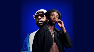 Dj Maphorisa & Scotts Maphuma - Hao Khonahale (Official Audio) feat. Xduppy & YRL