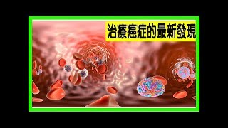 自己的「癌症」自己治？人體細胞可「清理門戶」、延緩衰老！