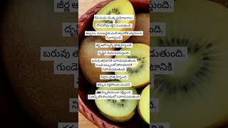 Benefits of Kiwi కివి in telugu #health #healthytips #shortsfeed #shorts #subscribe #telugutips #sub