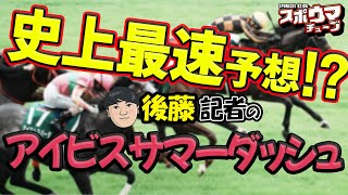 スポニチ競馬予想【アイビスサマーダッシュ】後藤記者が史上最速予想⁉