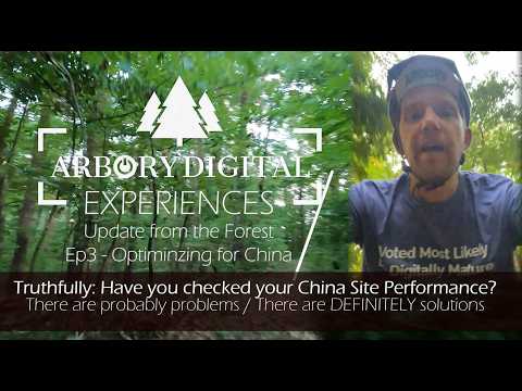 Your Web Performance in China - Reasons You SHOULD Care | Arbory Digital Update from the Forest