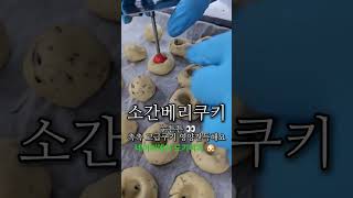 #도기머기#강아지수제간식#소간베리쿠키#수제간식#shorts#강아지간식