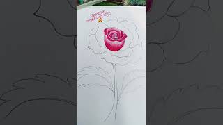 🌹Rose drawing🌹#drawing#art#love#reels#reelitfeelit#reelkarofeelkaro#reelinsta#like4like#comment#shar