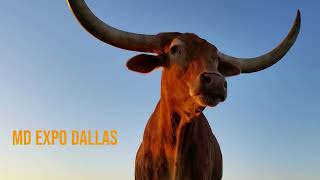 Registration for MD Expo Dallas is OPEN!