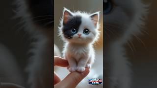 "I miss you so much… why did you leave me?!" 😿
