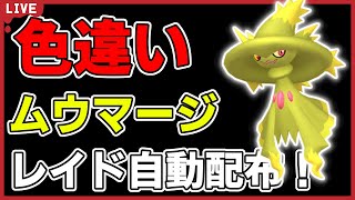 【バイオレット限定】色違いムウマージレイド自動配布！【ポケモンSV】#2