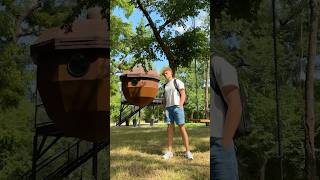 50 states in 50 days