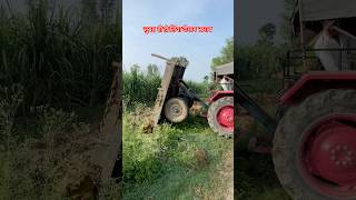 किसान का तो सुबह ही हो लिया दीमाग ख़राब 🤢 #agriculture #tractor #farmer #farming #kisan #gobar