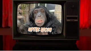 Nessa _ Ufite isoni Feat Beat Killer ( Visualizer )