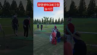 #파크골프 #부산파크골프 #화명생태공원 #화명파크골프장