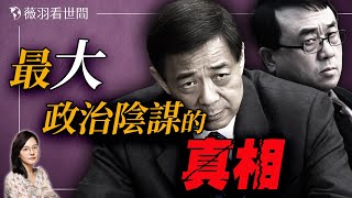 紅色風暴崩潰！薄熙來如何一步步走向失敗？王立軍到底說出了什麼驚天秘密？｜薇羽看世間 第829期 20240220
