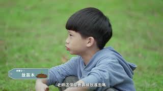 植樹教學影片 正式版