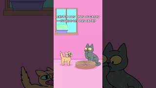 Dos tipos de gatos con catnip: Relajados vs. Destructores 😹🌿 #gatos #gato #gatitos #michi #michis