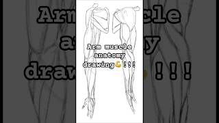 DRAWING PRACTICE✍ #armmuscles #anatomydrawing #artshorts #drawwithme#sketchpractice #artiststudy