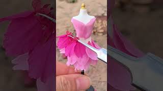 花瓣裙﻿ ﻿ 好看的花一定要分享给你﻿  艺术创作﻿Petal skirt ﻿ ﻿ Beautiful flowers must be shared with you ﻿ Art creation
