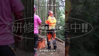 🌳スローラインの特訓!!#南予アルプス#高月山#東高月山#鬼北町奈良#奈良川#林業#南予森林アカデミー