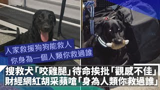 搜救犬「咬雞腿」待命挨批「觀感不佳」　財經網紅胡采蘋嗆「身為人類你救過誰」｜鏡速報 #鏡新聞
