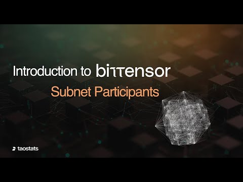 Bittensor Overview: Subnet Participants