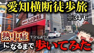 【熱中症...？】真夏に限界が来るまでぶっ通しで歩き続けてみた【徒歩旅】