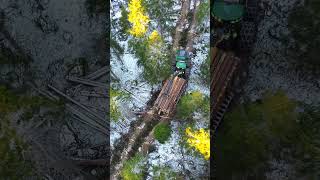John Deere 1010G: Sustainable Thinning in Norway’s Forests #sustainableforestry #forestrylife