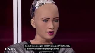 Xiaomi's CyberOne and Tesla's Optimus humanoid robots