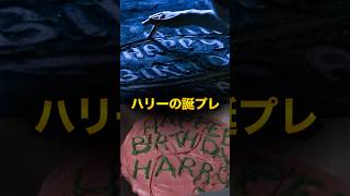 7月31日ハリーポッターが貰った誕生日プレゼント紹介 #harrypotter