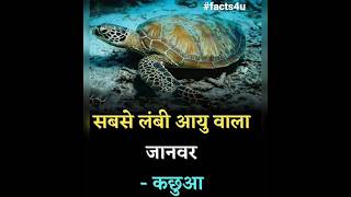 #facts #fact4u #dailyfacts #allfacts #animals