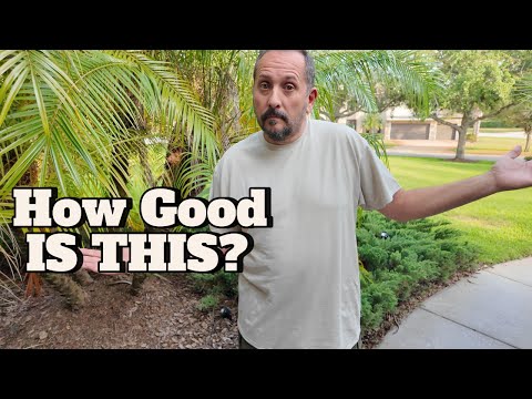 👕 Spring/Summer Staple! Gildan Large Men's DryBlend T-Shirt REVIEW!