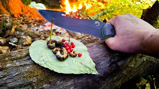 Survival Camping with bugs for food!