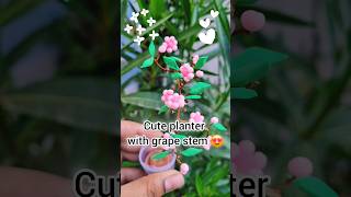 😍😱Diy lil planter with grape stem #diy #diyclay #planter #claycraft #shorts #tutorial #art #clayart
