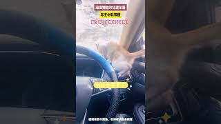 流浪猫怕冷钻进车窗 车主心软带回 #猫咪 #我的车里有只大肥猫 #车窗外流进一只喵 #萌化了 #这猫是懂车的