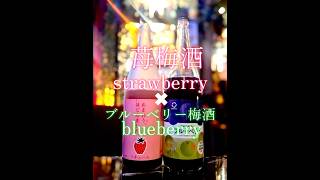 日本全国の個性的な梅酒を日本一丁寧に提供するBAR九です‼︎ここでしか飲めないお酒も多数‼︎ 最寄り駅は信濃町駅‼︎#梅酒 #umeshu #うめしゅ #バー #bar #japan #四ツ谷グルメ