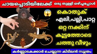 ഇതൊരു തുള്ളി ഒഴിച്ചാൽ മതി,5 കൊല്ലത്തേക്ക് എലി പല്ലി പാറ്റ വീട്ടിൽ ഉണ്ടാവില്ല|Getrid of rats with tea