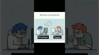 Life of software Tester |Test Engineer