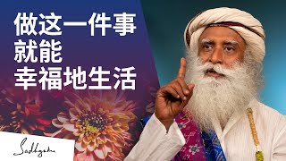 做这一件事，就能幸福地生活 | Sadhguru 萨古鲁