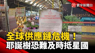全球供應鏈危機！耶誕樹恐難及時抵新加坡 @globalnewstw