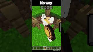 Minecraft meme #shorts
