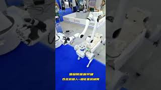 robot dog and RML63 robotic arm