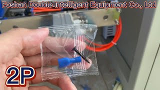 2P Automatic Screw Fastener Counting Packing Machine
