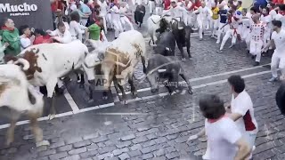 Seven minor injuries in second day of Pamplona San Fermin bull run