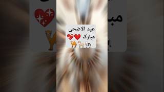 Eid Al adha Mobarak ❤️😊💖🥳#eidmubarakstatus#eiduladha#eidshorts#eidwhatsappstatus#youtubeshorts