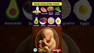 Must Eat Foods for Baby’s Brain Development in Pregnancy | Pregnancy Nutrition