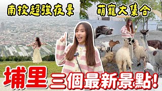 2025南投新景點！新開幕動物農場居然可以餵樹懶，飛行傘基地景觀餐廳，最後再去DIY鳳梨酥，因為自己做的更好吃？｜Haven在南投