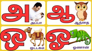 Uyir Ezhuthukal|உயிர் எழுத்துக்கள்|Tamil alphabet|அஆஇஈஉஊஎஏஐஒஓஔ| அடிப்படை தமிழ்|@kuttychuttytv