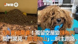貴賓犬被棄養在空屋變抹布狗 動保人員開門驚見排泄物山｜寵物｜新竹｜領養｜狗狗